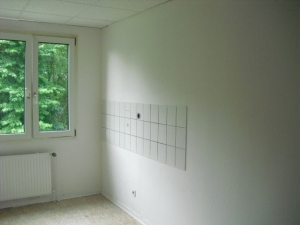 Desinfizierung-Renovierung (12).JPG